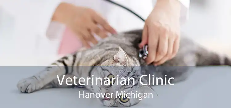 Veterinarian Clinic Hanover Michigan