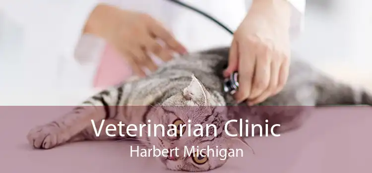 Veterinarian Clinic Harbert Michigan