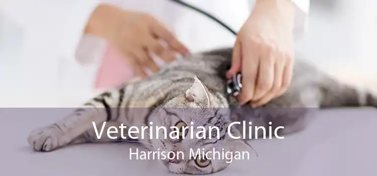 Veterinarian Clinic Harrison Michigan