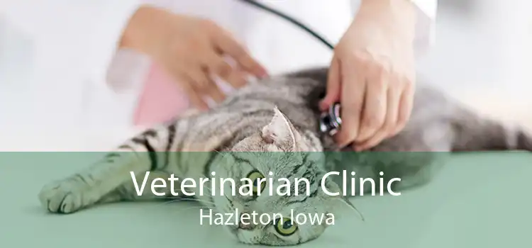 Veterinarian Clinic Hazleton Iowa
