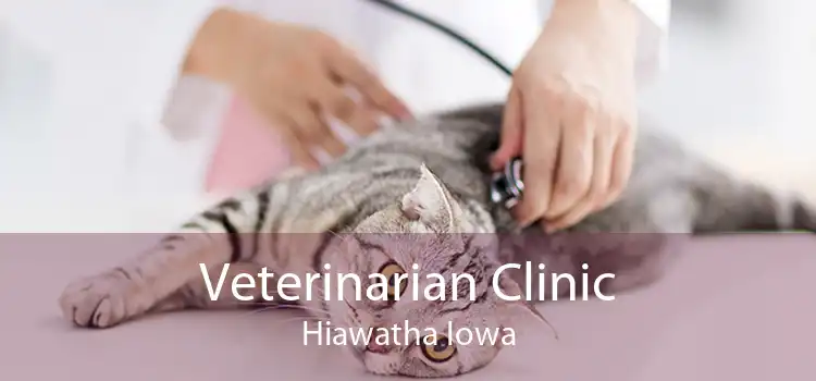 Veterinarian Clinic Hiawatha Iowa