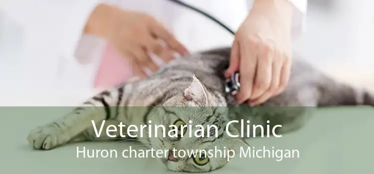 Veterinarian Clinic Huron charter township Michigan