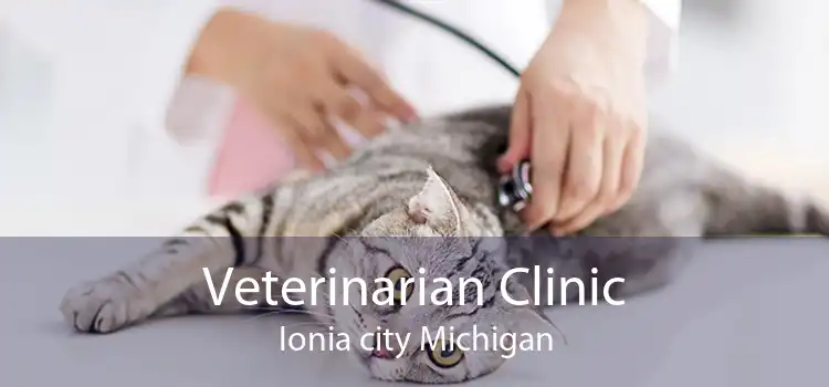 Veterinarian Clinic Ionia city Michigan