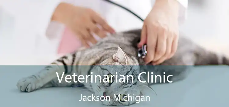 Veterinarian Clinic Jackson Michigan