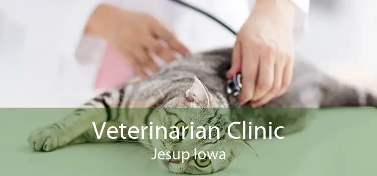 Veterinarian Clinic Jesup Iowa