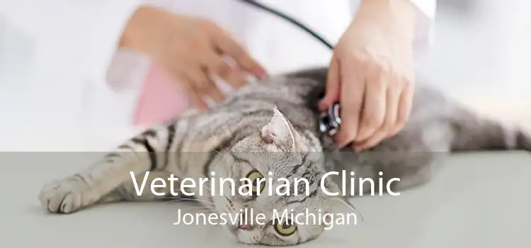 Veterinarian Clinic Jonesville Michigan