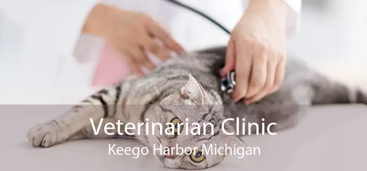 Veterinarian Clinic Keego Harbor Michigan