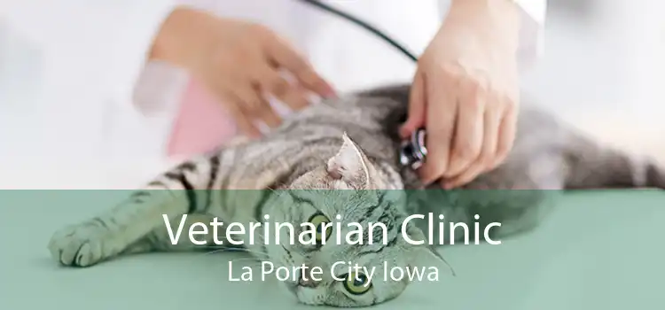 Veterinarian Clinic La Porte City Iowa