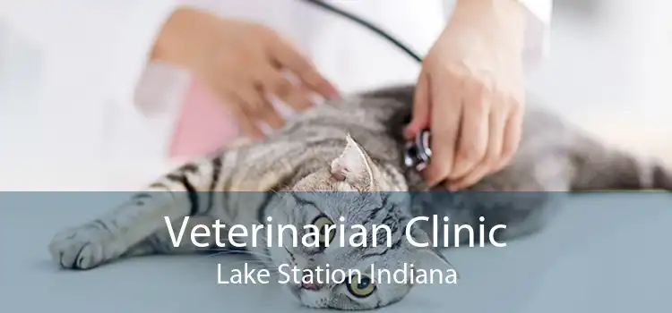 Veterinarian Clinic Lake Station Indiana