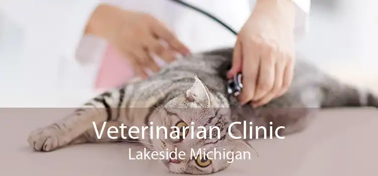 Veterinarian Clinic Lakeside Michigan