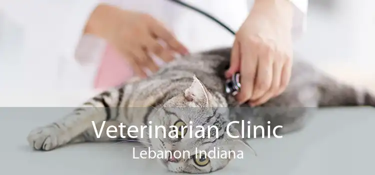 Veterinarian Clinic Lebanon Indiana