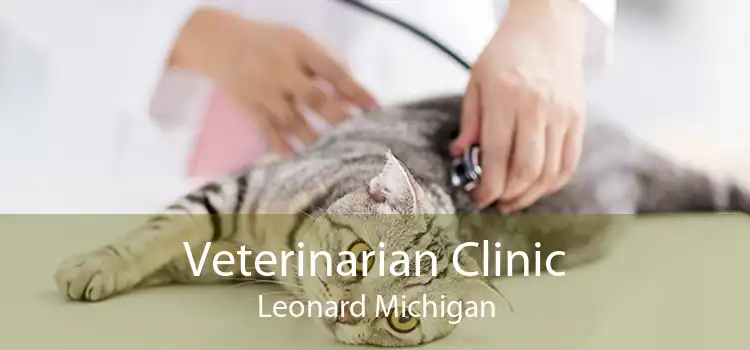 Veterinarian Clinic Leonard Michigan