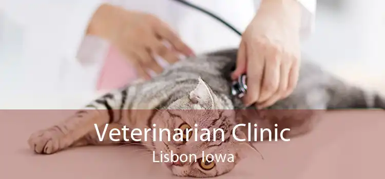 Veterinarian Clinic Lisbon Iowa