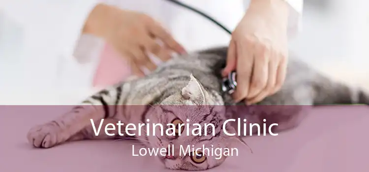 Veterinarian Clinic Lowell Michigan