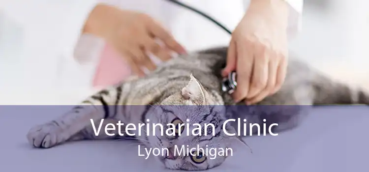 Veterinarian Clinic Lyon Michigan