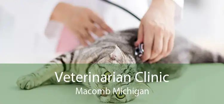 Veterinarian Clinic Macomb Michigan