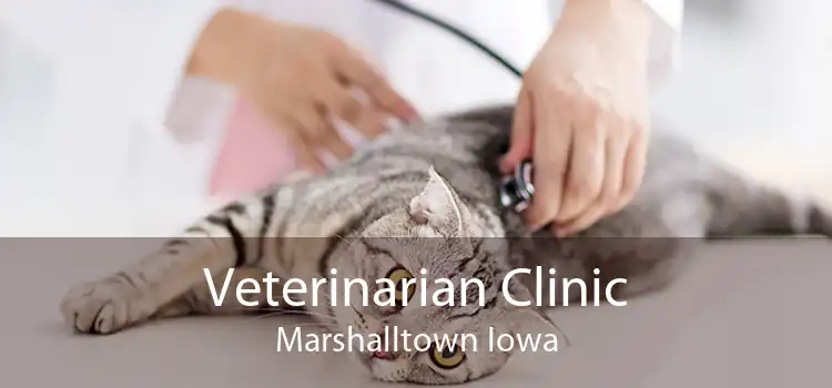Veterinarian Clinic Marshalltown Iowa
