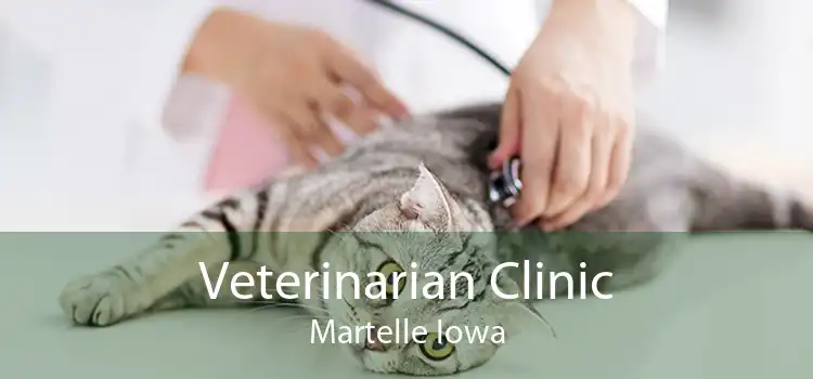 Veterinarian Clinic Martelle Iowa