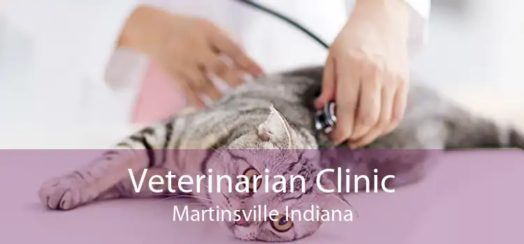 Veterinarian Clinic Martinsville Indiana