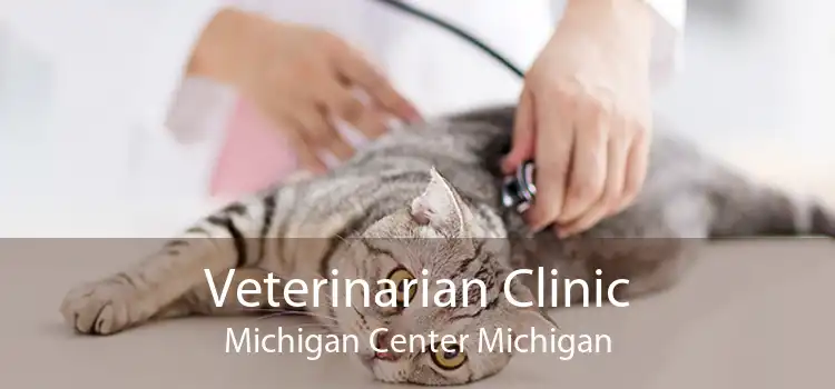 Veterinarian Clinic Michigan Center Michigan