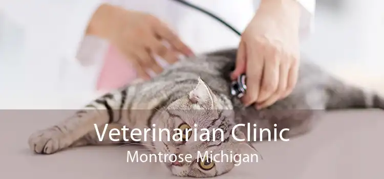 Veterinarian Clinic Montrose Michigan