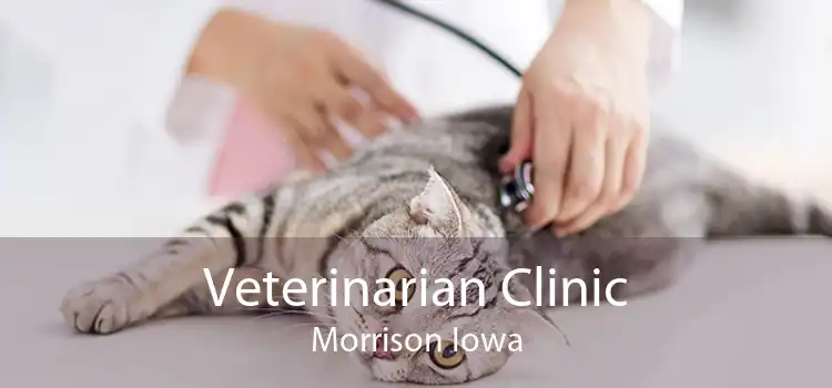 Veterinarian Clinic Morrison Iowa