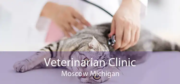 Veterinarian Clinic Moscow Michigan