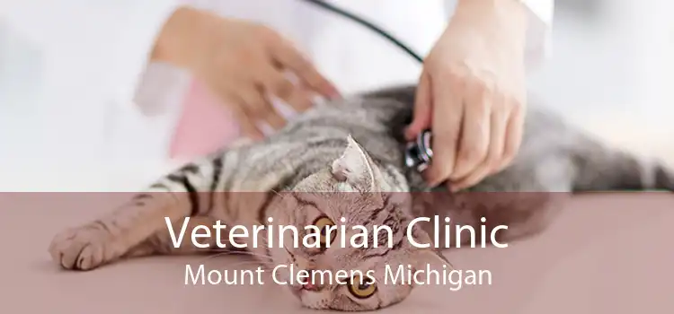 Veterinarian Clinic Mount Clemens Michigan