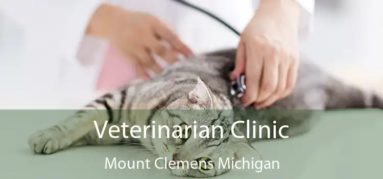 Veterinarian Clinic Mount Clemens Michigan