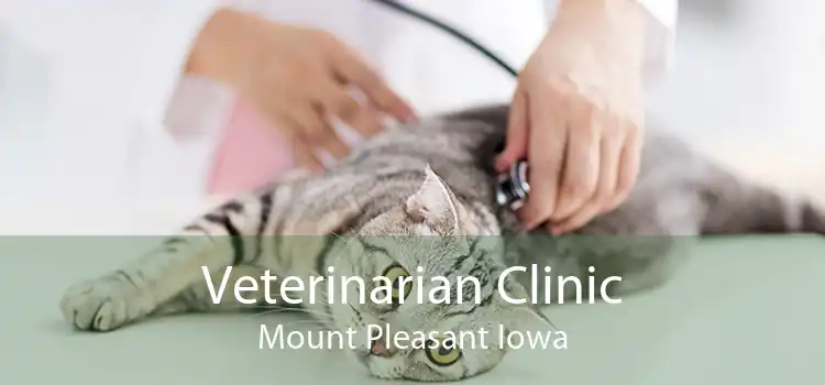 Veterinarian Clinic Mount Pleasant Iowa
