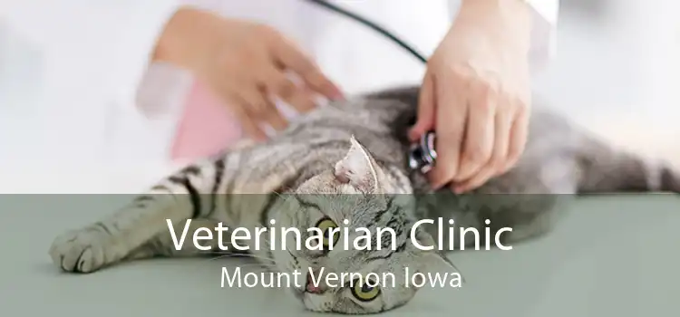 Veterinarian Clinic Mount Vernon Iowa