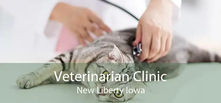 Veterinarian Clinic New Liberty Iowa