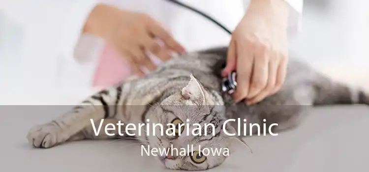 Veterinarian Clinic Newhall Iowa