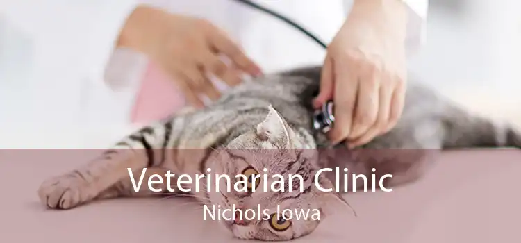 Veterinarian Clinic Nichols Iowa