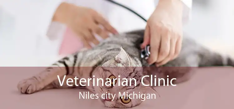 Veterinarian Clinic Niles city Michigan