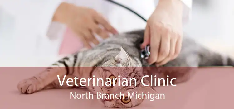 Veterinarian Clinic North Branch Michigan