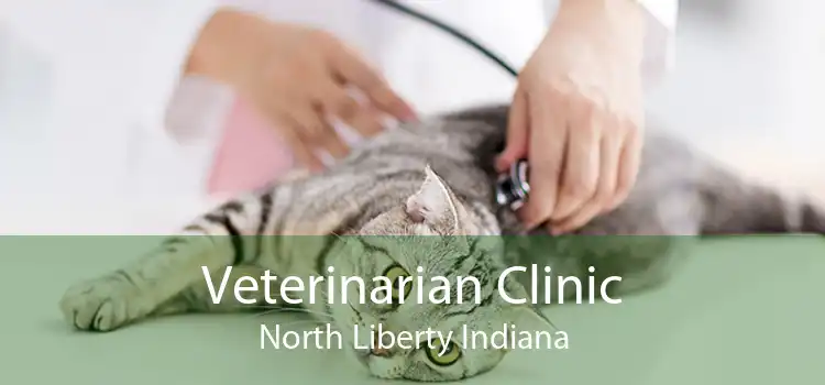 Veterinarian Clinic North Liberty Indiana