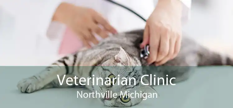 Veterinarian Clinic Northville Michigan