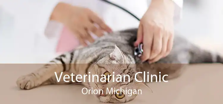 Veterinarian Clinic Orion Michigan