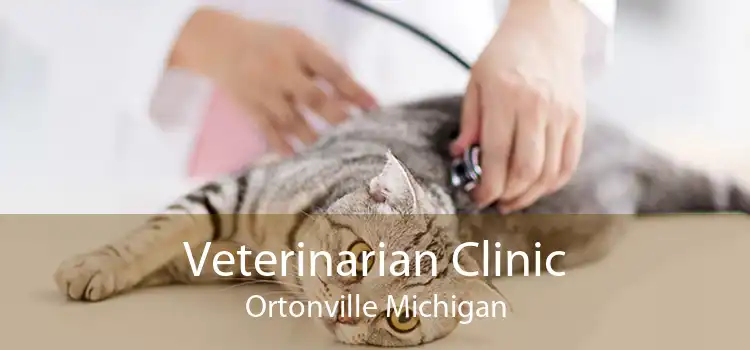 Veterinarian Clinic Ortonville Michigan