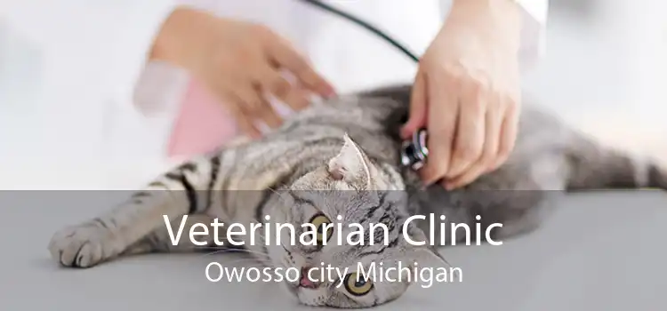 Veterinarian Clinic Owosso city Michigan