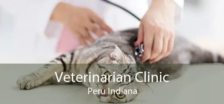 Veterinarian Clinic Peru Indiana