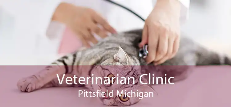 Veterinarian Clinic Pittsfield Michigan