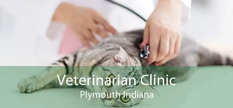 Veterinarian Clinic Plymouth Indiana