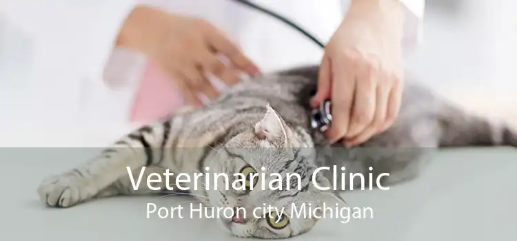 Veterinarian Clinic Port Huron city Michigan