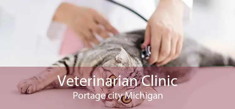 Veterinarian Clinic Portage city Michigan