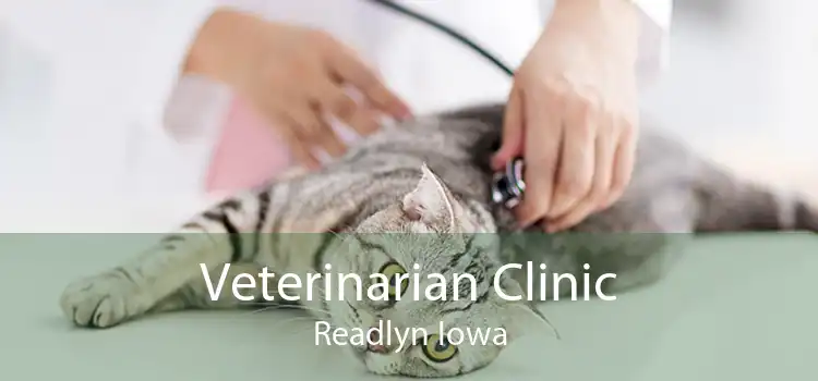 Veterinarian Clinic Readlyn Iowa