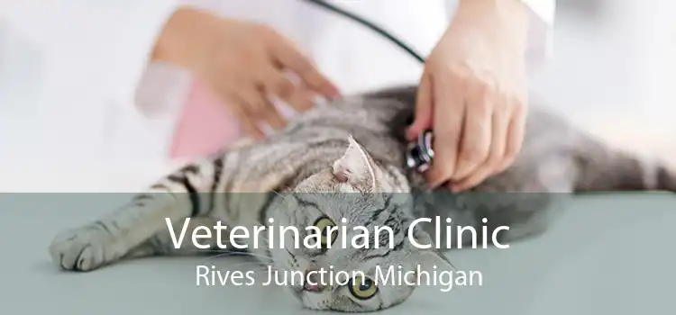 Veterinarian Clinic Rives Junction Michigan