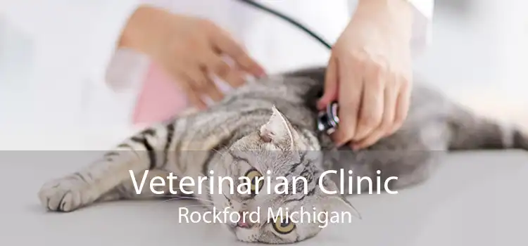 Veterinarian Clinic Rockford Michigan