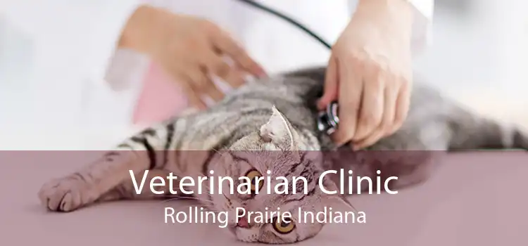 Veterinarian Clinic Rolling Prairie Indiana